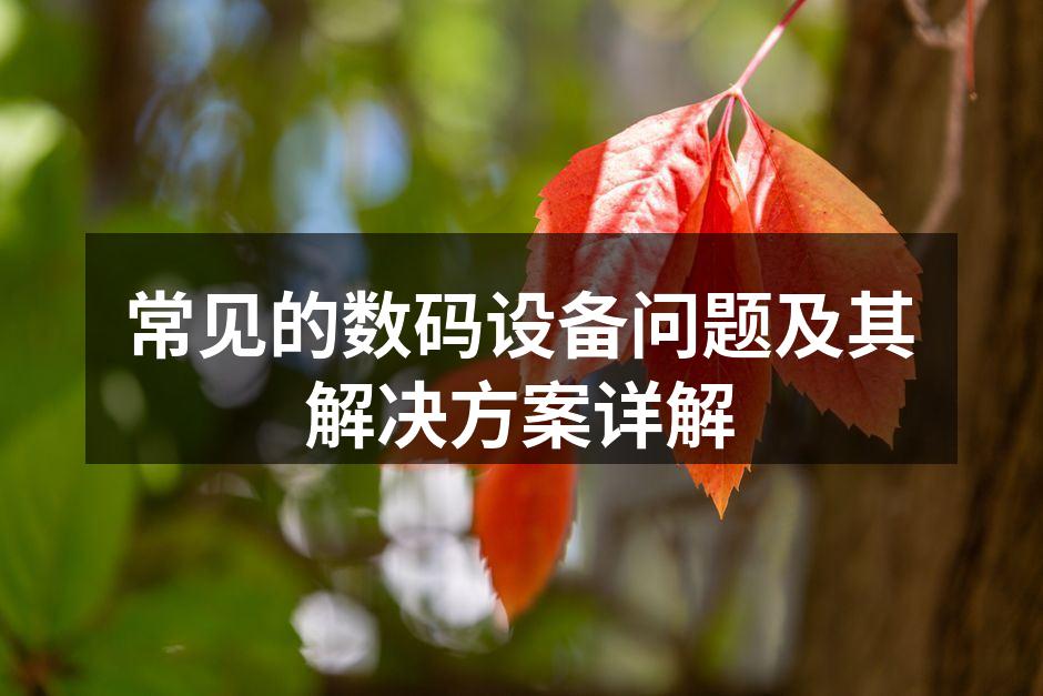 常见的数码设备问题及其解决方案详解